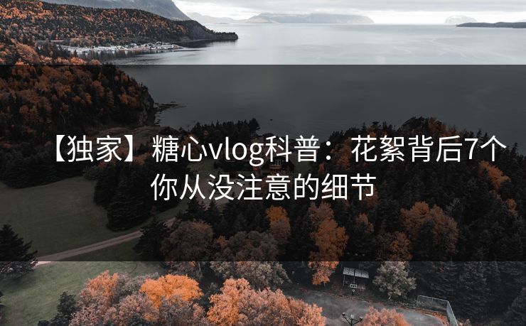 【独家】糖心vlog科普：花絮背后7个你从没注意的细节