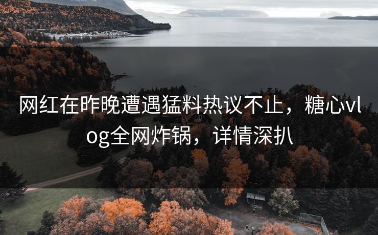 网红在昨晚遭遇猛料热议不止，糖心vlog全网炸锅，详情深扒
