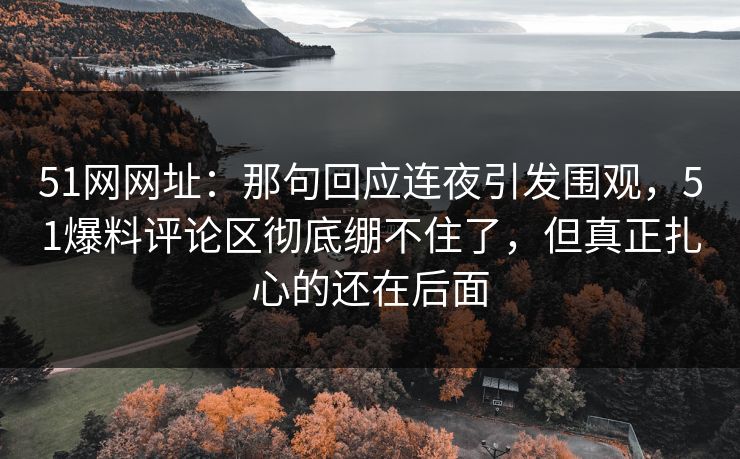 51网网址：那句回应连夜引发围观，51爆料评论区彻底绷不住了，但真正扎心的还在后面