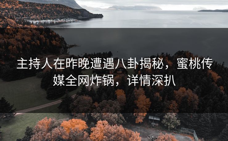 主持人在昨晚遭遇八卦揭秘,蜜桃传媒全网炸锅,详情深扒