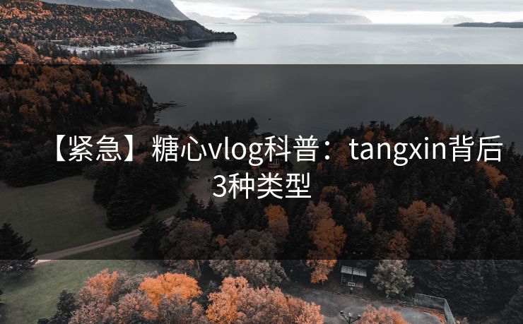 【紧急】糖心vlog科普：tangxin背后3种类型