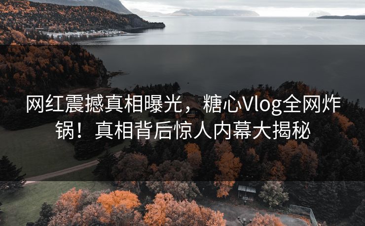 网红震撼真相曝光,糖心Vlog全网炸锅!真相背后惊人内幕大揭秘 网红震撼真相曝光,糖心Vlog全网炸锅!真相背后惊人内幕大揭秘